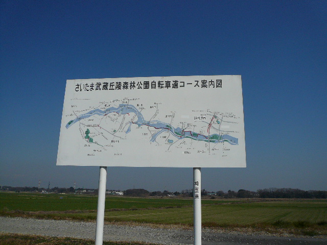 a0077616_167595.jpg