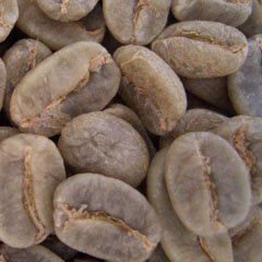 c0036617_21265544.jpg