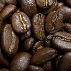 c0036617_21271555.jpg