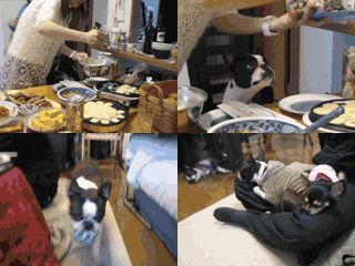 e0080117_2391922.gif