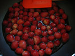 a0062324_9295720.jpg