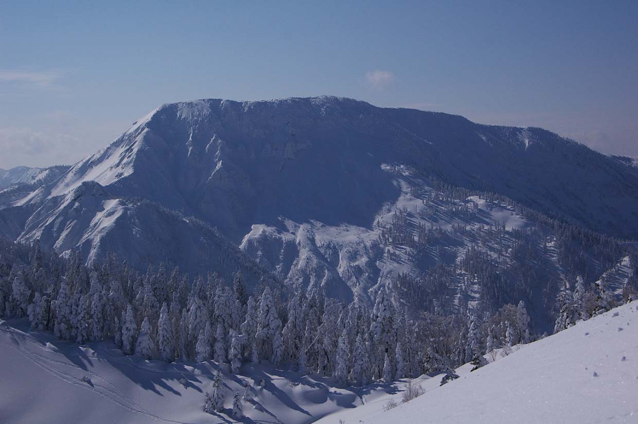 b0062024_20364424.jpg