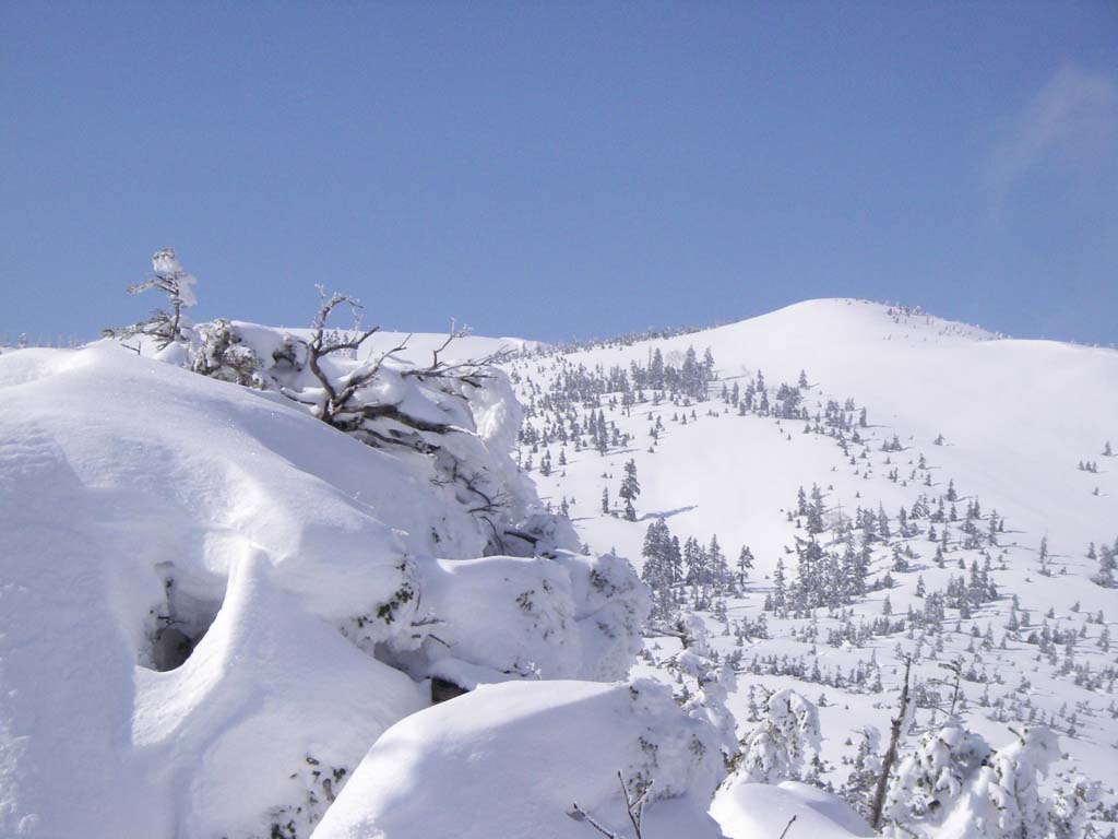 b0062024_20393567.jpg