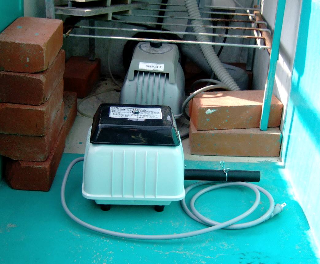 c0020725_10272342.jpg