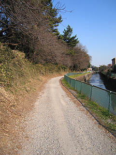 e0089826_23541237.jpg