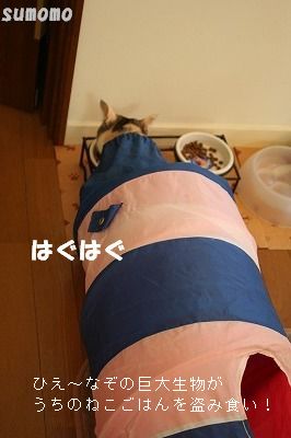 f0063729_884912.jpg