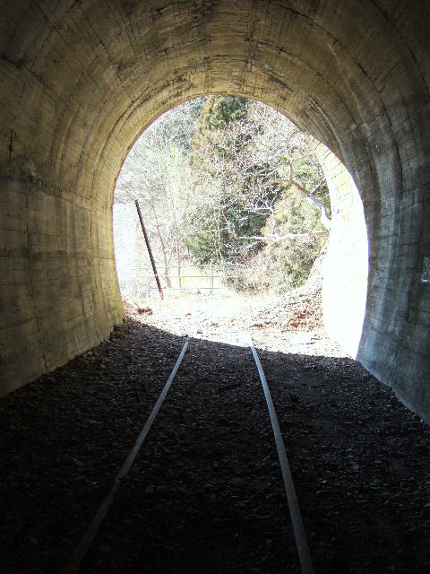 e0064133_22455.jpg