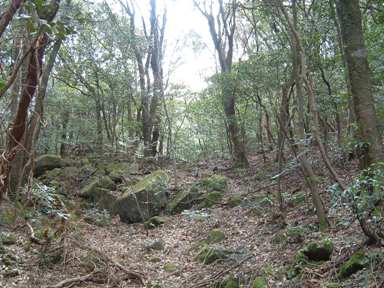 c0077338_2010661.jpg