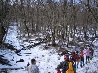 e0110940_21414875.jpg