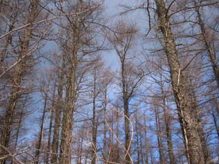 e0110940_22104750.jpg