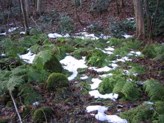 e0110940_22135174.jpg