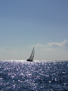 a0003150_7563544.jpg