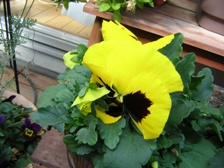 c0081552_13545662.jpg
