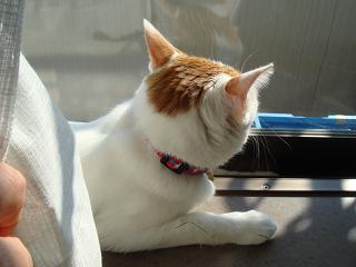 f0046854_2010387.jpg