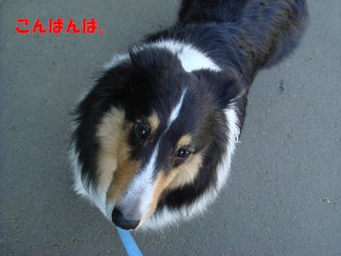 f0046854_20145219.jpg