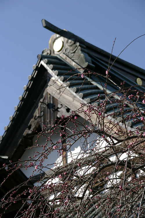 d0100156_20155285.jpg