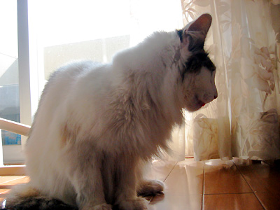 b0064663_146437.jpg