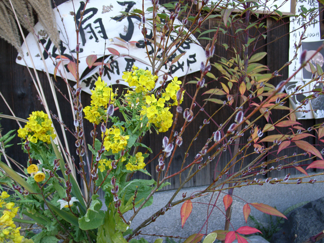 f0080267_9384025.jpg