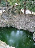 e0041168_103643.jpg