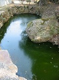 e0041168_10364525.jpg