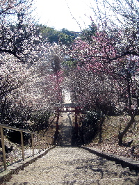 c0038170_20525010.jpg