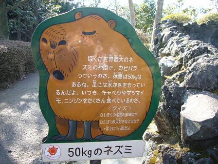d0042282_12371042.jpg