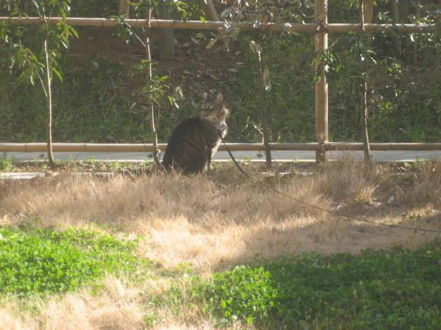 a0052486_9152445.jpg