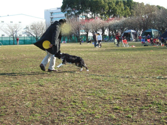 f0054290_22422581.jpg