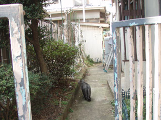 e0115791_18494652.jpg