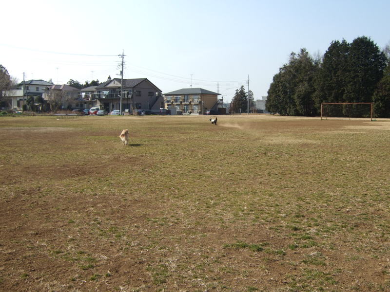 c0104492_0121483.jpg