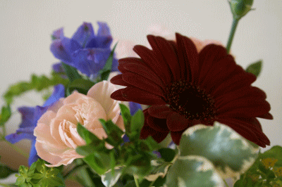 d0100192_20105746.gif