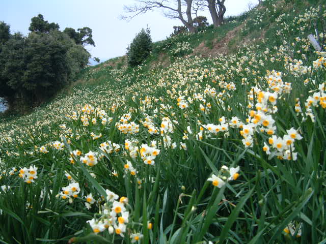 b0044296_2144232.jpg