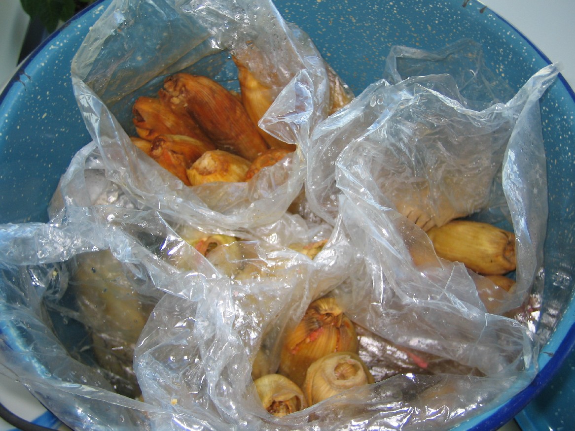 a0087598_1112735.jpg