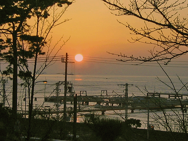 b0108100_2055503.gif