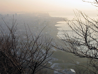 b0108100_2056948.gif