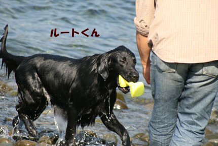 c0050400_12513486.jpg