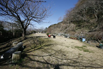 c0050400_1432389.jpg