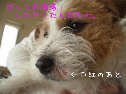 a0051402_071260.jpg