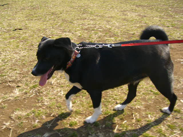 d0070702_20505485.jpg