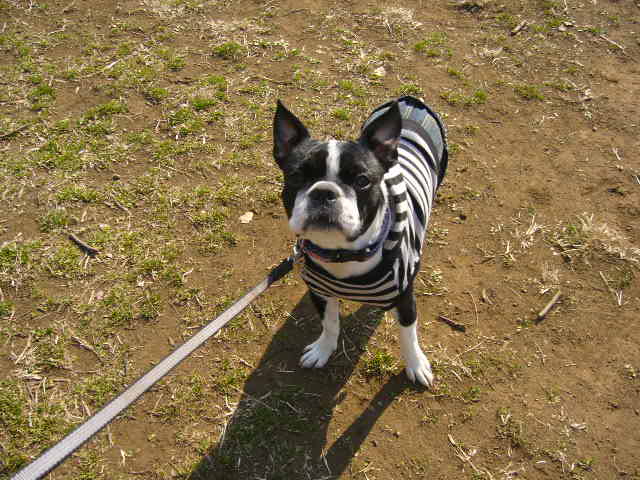 d0070702_20555049.jpg