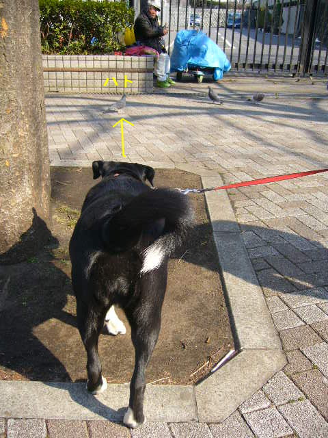 d0070702_21163162.jpg