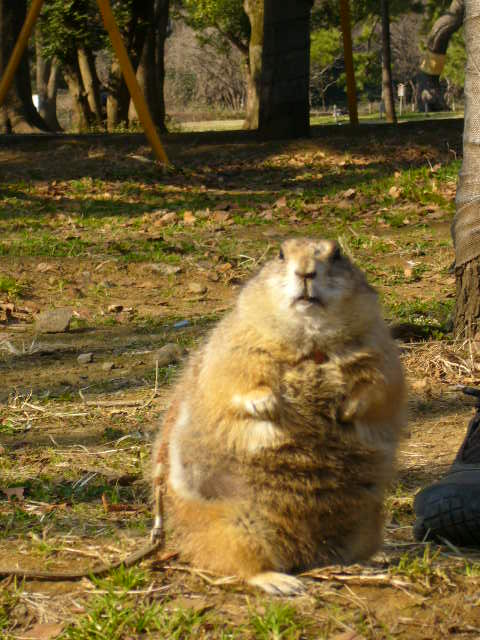 d0070702_21324221.jpg