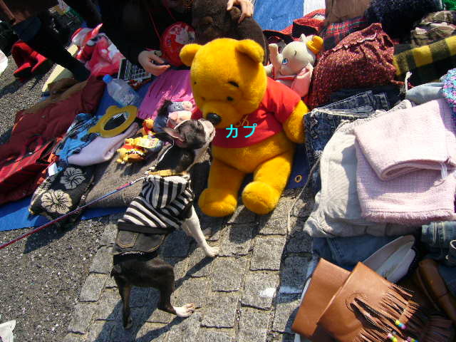 d0070702_219106.jpg