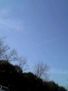 c0097806_2283959.jpg