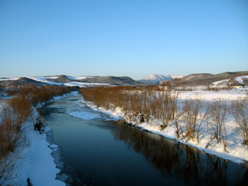 d0051707_848532.jpg