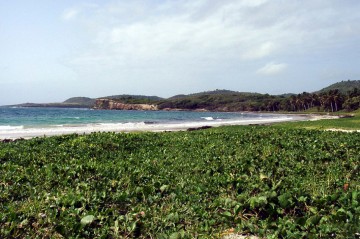 f0124209_3561981.jpg