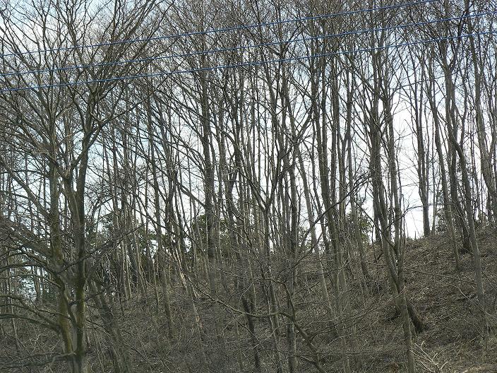 c0086014_2129994.jpg