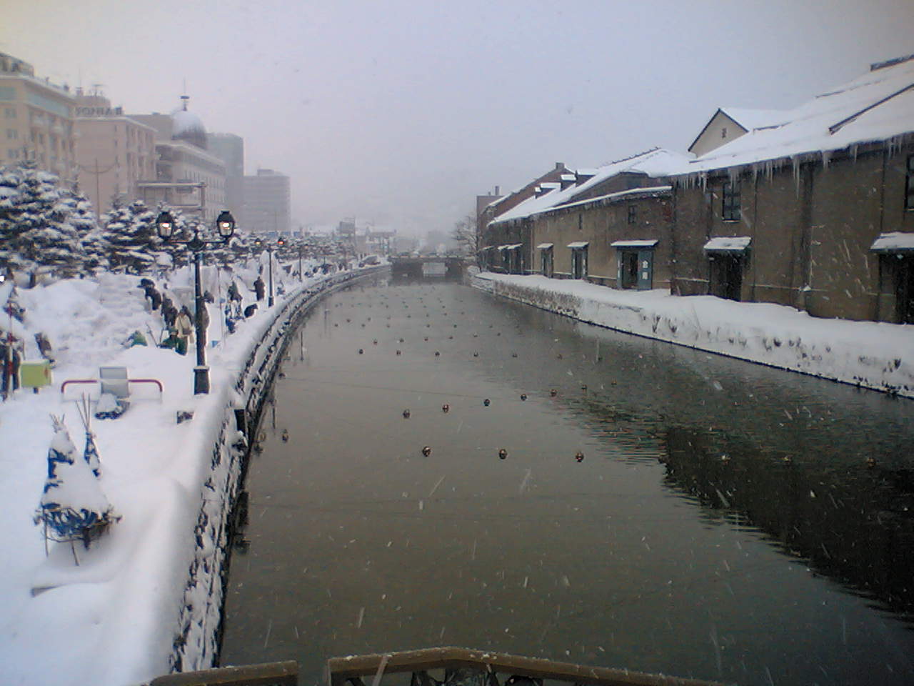 e0063317_10361143.jpg