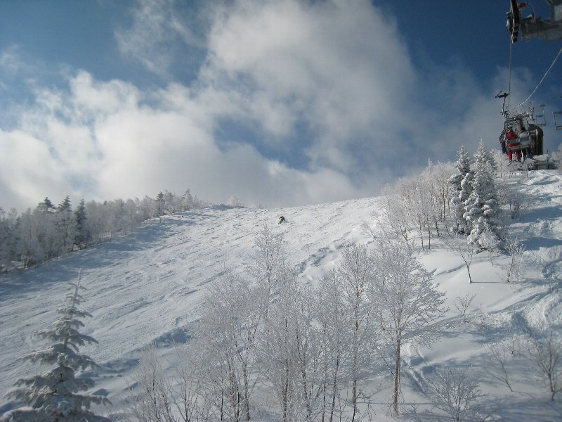 e0073717_8375078.jpg