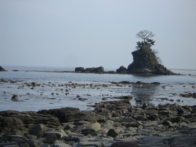 c0100318_1012840.jpg